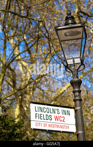 Lincoln's Inn Fields, London, UK dans l'été. Banque D'Images