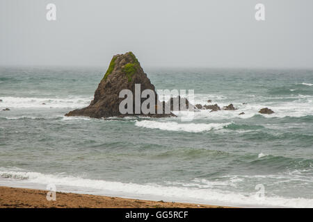 Vue depuis la plage de Black Rock, Widemouth Bay, North Cornwall, Angleterre Banque D'Images