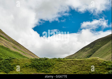 Près de Moffat, Sotland, UK, dans la région des Scottish Borders. Au-dessous de la queue de la jument grise est une cascade à l'âge de fer plate-forme rituelle Banque D'Images