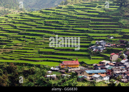 Les Cordillères, Banaue Banque D'Images