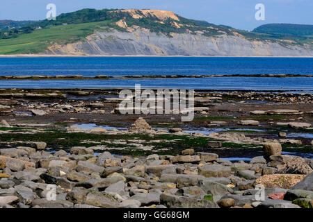 Large rebord, Lyme Regis, dans le Dorset Banque D'Images