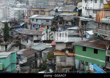 Darjeeling, West Bengal, India. Banque D'Images