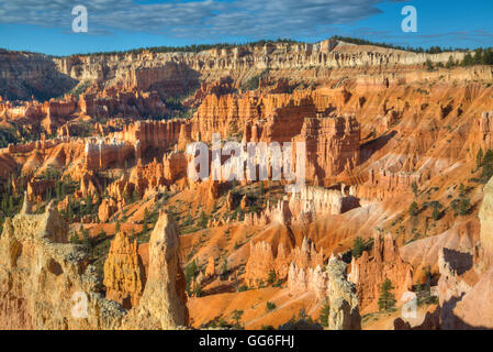 Les cheminées, sur la Queens Garden Trail, Bryce Canyon National Park, Utah, États-Unis d'Amérique, Amérique du Nord Banque D'Images