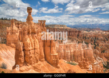 Les cheminées, sur la Queens Garden Trail, Bryce Canyon National Park, Utah, États-Unis d'Amérique, Amérique du Nord Banque D'Images