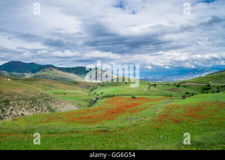 L'Arménie. Paysage avec champ de coquelicots Banque D'Images