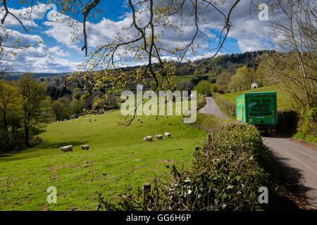 Pays Hewelsfield Brockweir lane dans près de Wye Valley au printemps. England UK. Au début du printemps avec des moutons dans le champ. Van de lane. Banque D'Images