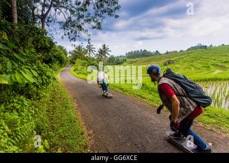 Deux roulettes longboard en action. Banque D'Images