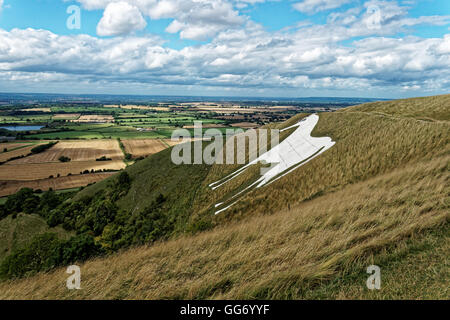 Westbury White horse sur Bratton Wiltshire Downs Banque D'Images