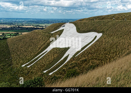 Westbury White horse sur Bratton Wiltshire Downs Banque D'Images