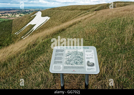 Westbury White horse sur Bratton Wiltshire Downs Banque D'Images