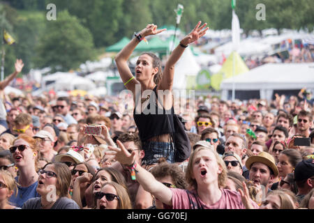 À l'audence Mumford & Sons, concert live de Saint-gall Open Air Festival, Saint-Gall, Suisse, 2016 Banque D'Images