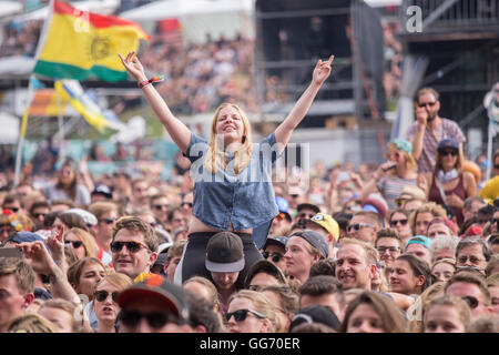 À l'audence Mumford & Sons, concert live de Saint-gall Open Air Festival, Saint-Gall, Suisse, 2016 Banque D'Images