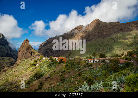 Barranco de Masca, Tenerife Banque D'Images