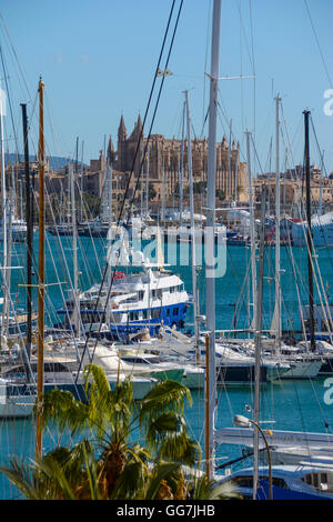 La Cathédrale de Santa Maria de Palma (La Seu), Majorque, Palma, Espagne vu sur la baie de Palma Harbour avec baots et mer Banque D'Images