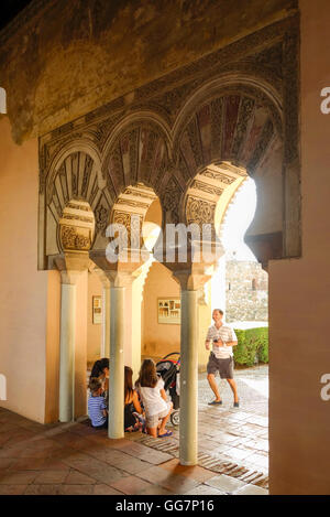 Cour intérieur avec des arcs en fer à cheval arabe mauresque, l'Alcazaba, Malaga, Andalousie, espagne. Banque D'Images
