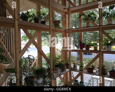 Varsovie, Pologne. 28 juillet, 2016. De nombreuses plantes en pot peut être vu à l'usine l'hôtel 'Villa' Roslinka à Varsovie, Pologne, 28 juillet 2016. Les gens de Varsovie qui vont en voyage peuvent laisser leurs usines à l'usine pour l'hôtel gratuitement. PHOTO : NATALIE SKRZYPCZAK/dpa/Alamy Live News Banque D'Images