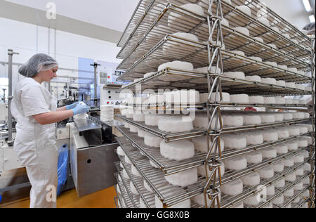 Dans la fromagerie Altenburger Land GmbH & Co. KG fromage de chèvre est enveloppée de Lumpzig/Hartha, Allemagne, 08 août 2016. Dans l'usine de fromage est en cours pour les marques de fromage 'Der Gruene Altenburger et 'Rotkaeppchen' ; plusieurs différentes sortes de fromages doux et crémeux se répand à partir de produits frais du lait de vache et de chèvre sont produits. Photo : Martin Schutt/dpa Banque D'Images