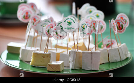 Dans la fromagerie Altenburger Land GmbH & Co. KG morceaux de fromage sont sur une table en Lumpzig/Hartha, Allemagne, 08 août 2016. Dans l'usine de fromage est en cours pour les marques de fromage 'Der Gruene Altenburger et 'Rotkaeppchen' ; plusieurs différentes sortes de fromages doux et crémeux se répand à partir de produits frais du lait de vache et de chèvre sont produits. Photo : Martin Schutt/dpa Banque D'Images