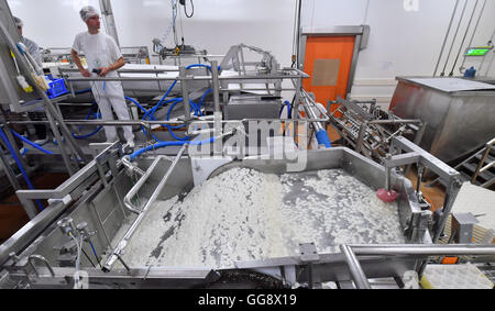 Dans la fromagerie Altenburger Land GmbH & Co. KG fromage de chèvre est produit dans la région de Lumpzig/Hartha, Allemagne, 08 août 2016. Dans l'usine de fromage est en cours pour les marques de fromage 'Der Gruene Altenburger et 'Rotkaeppchen' ; plusieurs différentes sortes de fromages doux et crémeux se répand à partir de produits frais du lait de vache et de chèvre sont produits. Photo : Martin Schutt/dpa Banque D'Images