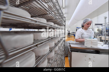 Dans la fromagerie Altenburger Land GmbH & Co. KG fromage de chèvre est emballé dans beingh Lumpzig/Hartha, Allemagne, 08 août 2016. Dans l'usine de fromage est en cours pour les marques de fromage 'Der Gruene Altenburger et 'Rotkaeppchen' ; plusieurs différentes sortes de fromages doux et crémeux se répand à partir de produits frais du lait de vache et de chèvre sont produits. Photo : Martin Schutt/dpa Banque D'Images