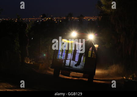 Les travailleurs de la récolte des caisses de chargement dans un camion pendant une récolte tôt le matin dans l'obscurité à Klein Vins de Constantia, Cape Town Banque D'Images