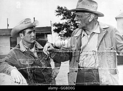 WILDESTE DER UNTER TAUSEND Hud USA 1963 Martin Ritt Hud Bannon (PAUL NEWMAN) und Homer Bannon (MELVYN DOUGLAS) Régie : Martin Ritt aka. Hud Banque D'Images