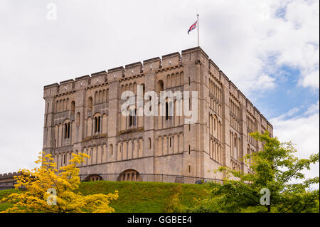 Le château de Norwich Norwich , Norfolk , Angleterre , Angleterre , Royaume-Uni Banque D'Images