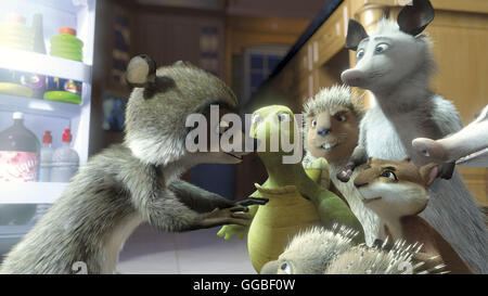 AB durch die HECKE / Over the Hedge USA 2006 / Tim Johnson, Kary KirACKtrick le raton laveur RJ va sur le plan avec Verne la tortue, Hammy l'écureuil, Lou la harde et les opossums Ozzie et Heather. Regie : Tim Johnson, Kary Kirkpatrick aka. Par-dessus la haie Banque D'Images