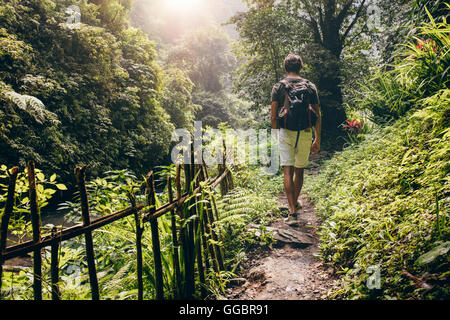 Vue arrière du jeune homme de la randonnée dans les montagnes. Touriste avec un sac à dos en marchant le long du sentier dans la forêt. Banque D'Images