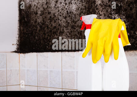 Préparation pour l'enlèvement des moisissures et des gants jaunes contre la moisissure sur le mur. Banque D'Images