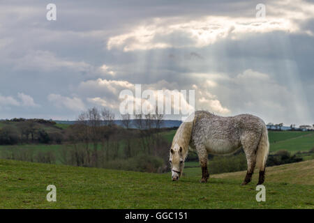 Soleils rayons à travers les nuages sur l'humide et terres agricoles Banque D'Images