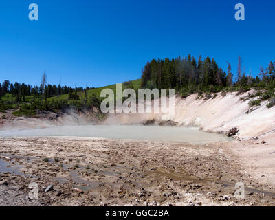 Région du volcan de boue, le Parc National de Yellowstone Banque D'Images