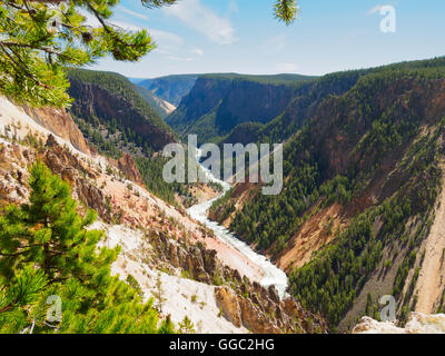 À partir de la rivière Yellowstone Inspiration Point, le Parc National de Yellowstone Banque D'Images