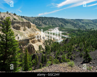 Yellowstone River près de Tower Falls, parc national de Yellowstone Banque D'Images