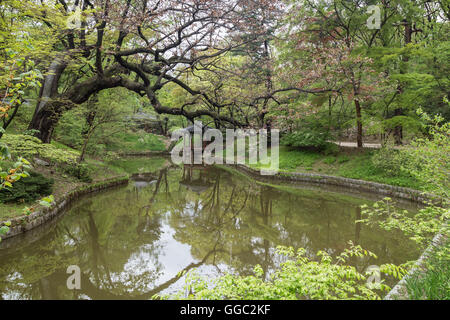 Vue panoramique d'une nature luxuriante et d'un étang à Huwon (Jardin Secret) au Palais Changdeokgung à Séoul, Corée du Sud. Banque D'Images