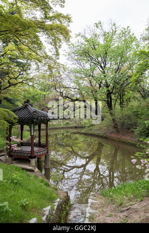 Vue panoramique d'un étang, nature luxuriante et un pavillon à Huwon (Jardin Secret) au Palais Changdeokgung à Séoul, Corée du Sud. Banque D'Images