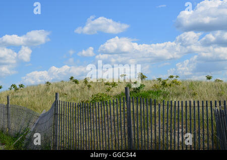 Clôtures en bois autour de dunes et de hautes herbes sur Spectacle Island. Banque D'Images