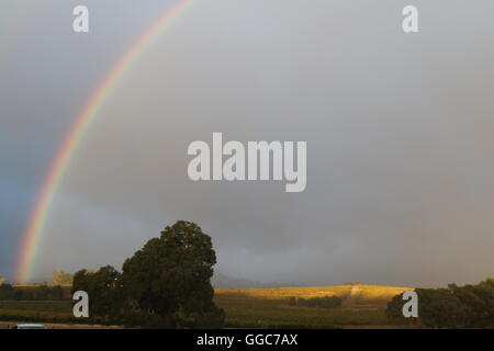 Arc-en-ciel dans le ciel au-dessus des vignobles de Pewsey Vale Vineyard, Eden Valley, Australie Banque D'Images