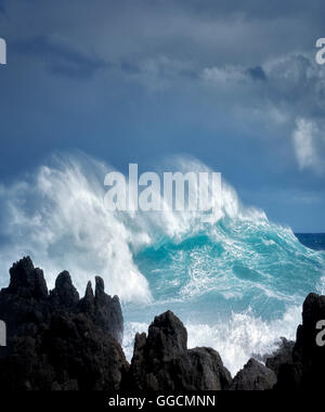 Le fracas des vagues à Laupahoehoe Point. Hawaii, l'île. La grande île. Banque D'Images