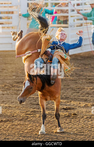 Rodeo Cowboy à cheval un cheval de selle, de la concurrence, la monte de Chaffee County Fair & Rodeo, Salida, Colorado, USA Banque D'Images