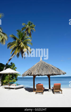 Géographie / billet, les Seychelles, l'Île Amirante, Desroches Island, hotel, hôtel palm beach, installation, chaise longue, Additional-Rights Clearance-Info-Not-Available- Banque D'Images