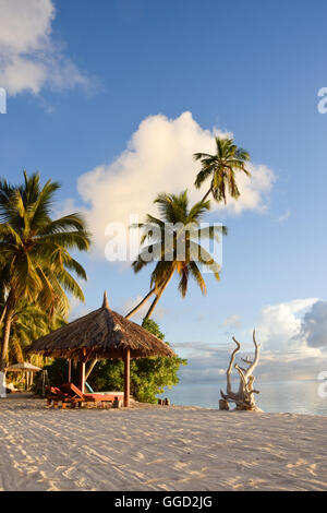 Géographie / billet, les Seychelles, l'Île Amirante, Desroches Island, hotel, hôtel, mer, palmier, plage, Additional-Rights Clearance-Info-Not-Available- Banque D'Images