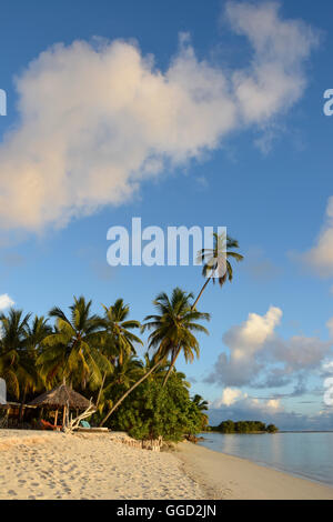 Géographie / billet, les Seychelles, l'Île Amirante, Desroches Island, hotel, hôtel, mer, palmier, plage, Additional-Rights Clearance-Info-Not-Available- Banque D'Images