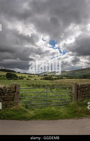 Field gate près de stand dans la campagne anglaise, Derbyshire. À l'égard de perdre Hill dans le Peak District. Banque D'Images