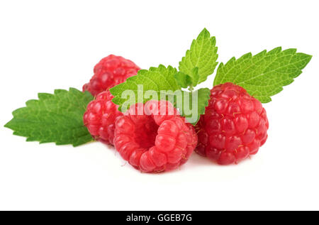 Framboises bio de feuilles de menthe sur gros plan blanc Banque D'Images