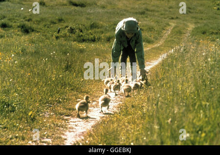 AMY UND DIE WILDGÄNSE / Fly Away Home USA 1996 / Carroll Ballard Bild : Amy (Anna Paquin) und ihr Schar kleiner Wildgänse./ Regie : Carroll Ballard aka. Fly Away Home Banque D'Images