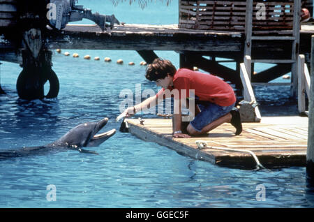 FLIPPER / USA 1996 / Alan Shapiro Sandy als Elijah Wood, dans 'Flipper', 1996. Regie : Alan Shapiro Banque D'Images