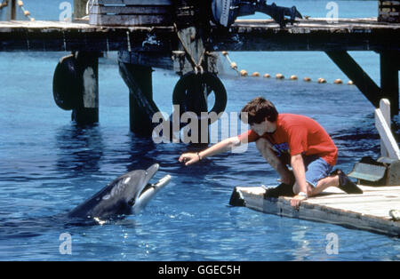 FLIPPER / USA 1996 / Alan Shapiro Sandy als Elijah Wood, dans 'Flipper', 1996. Regie : Alan Shapiro Banque D'Images