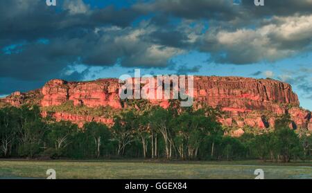 Nourlangie Rock brille dans la lumière dorée du soleil couchant, vu depuis le Anbangbang Billabong. Banque D'Images