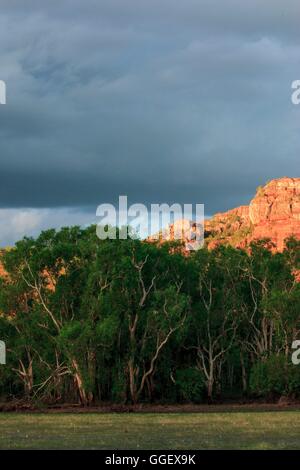 Nourlangie Rock brille dans la lumière dorée du soleil couchant, vu depuis le Anbangbang Billabong. Banque D'Images